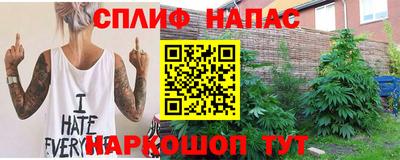 apvp Пугачёв