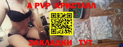 apvp Пугачёв