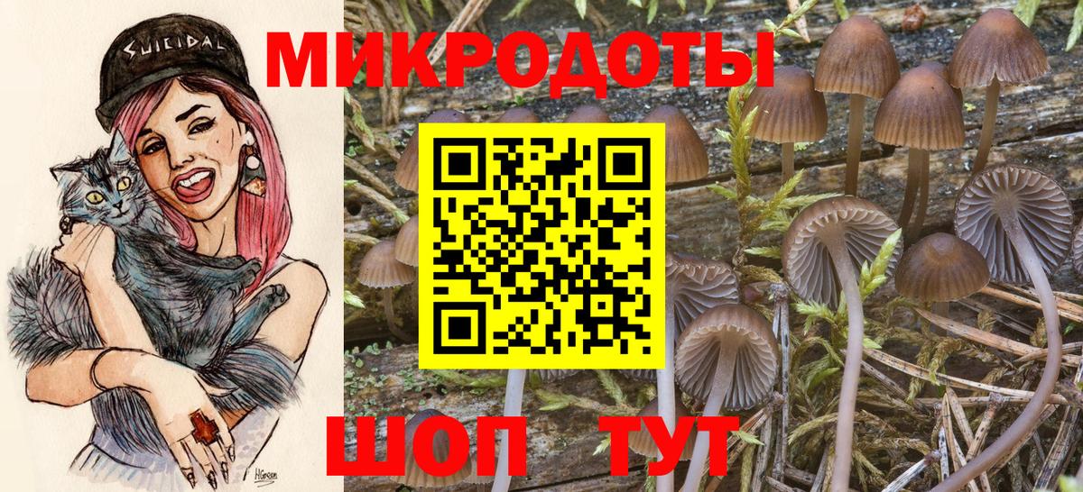 Семёнов  Галлюциногенные грибы мухоморы  Вход с VPN 